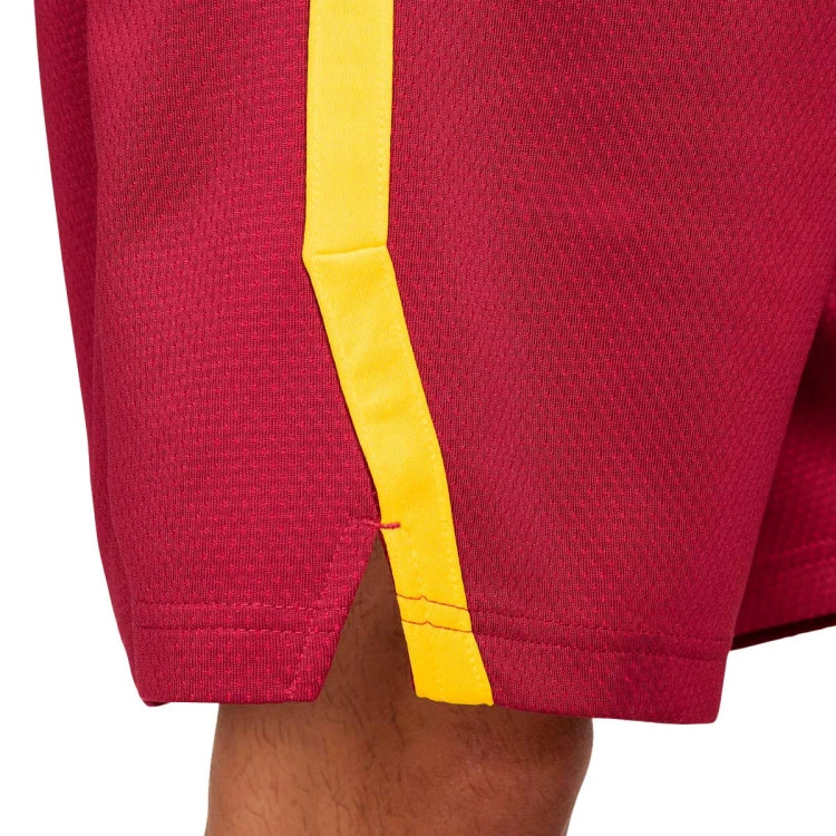 pantalon-corto-nike-seleccion-de-espana-limited-road-2024-team-crimson-tour-yellow-5