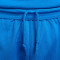 Short Nike Selección de Grecia Limited Short Road Mujer 2024