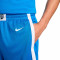 Short Nike Selección de Grecia Limited Short Road Mujer 2024