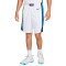 Nike Greece Limited Short Home 2024 Shorts