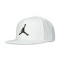 Gorra Jordan Jumpman Pro Ajustable