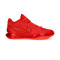 Nike Lebron 21 Devotion Basketball Shoes