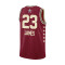 Nike All Star Weekend Swingman Jersey Lebron James 2024 Jersey