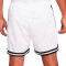 Nike Dri-Fit DNA 6" Shorts