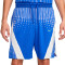 Nike DFADV 8" Shorts