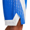 Nike DFADV 8" Shorts