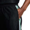 Nike Giannis Shorts