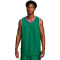 Nike Giannis Jersey