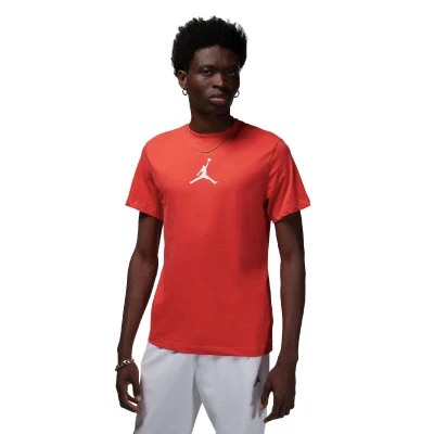 Camisola Jumpman Dri-Fit Crew