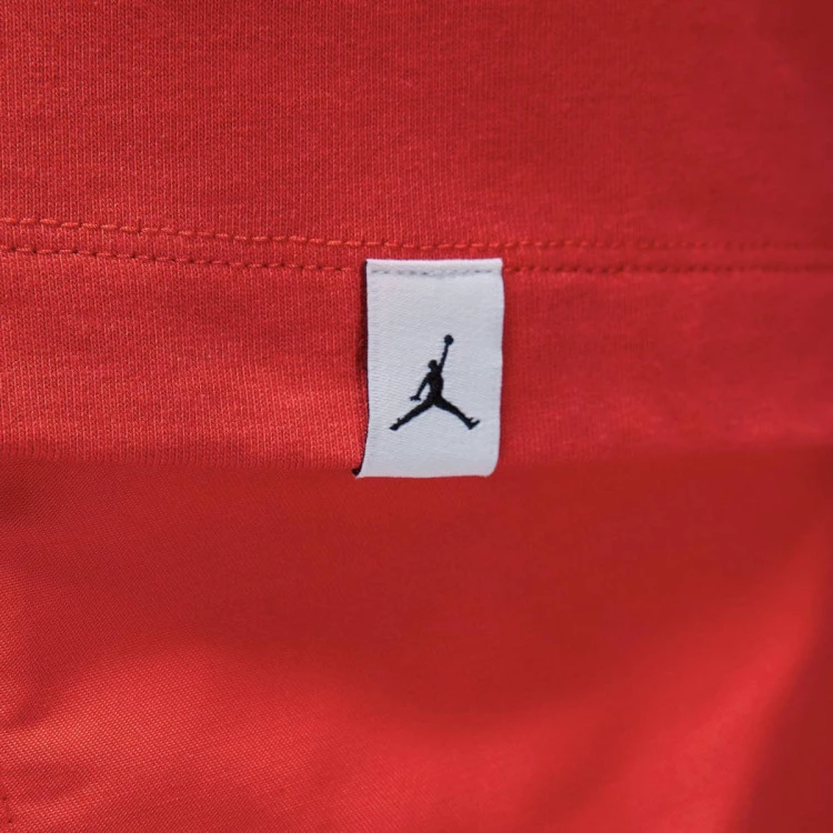 camiseta-jordan-flight-essential-rings-crew-lobster-4