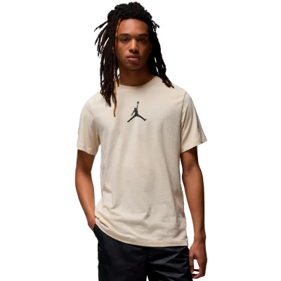 Camisola Jumpman Dri-Fit Crew