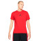 Jersey Jordan Jumpman Dri-Fit Crew