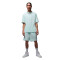 Camiseta Jordan Flight Essentials