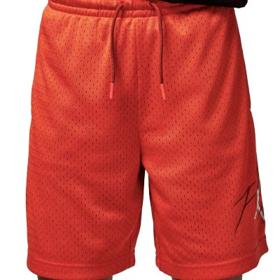 Kids Off Court Flight Mesh Shorts