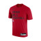 Camisola Nike Chicago Bulls