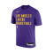 Nike Los Angeles Lakers Jersey