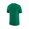 Nike Boston Celtics Essential Club Trikot