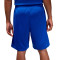 Jordan France LImited Road 2024 Shorts