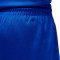 Jordan Selección de Francia LImited Road 2024 Shorts