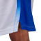 Jordan France Limited Home 2024 Shorts