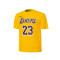 Jersey Nike Los Angeles Lakers Icon Edition Lebron James Preescolar