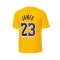 Nike Los Angeles Lakers Icon Edition Lebron James Preescolar Jersey