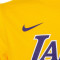 Jersey Nike Los Angeles Lakers Icon Edition Lebron James Preescolar