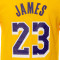 Jersey Nike Los Angeles Lakers Icon Edition Lebron James Preescolar