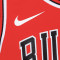 Nike Chicago Bulls Icon Edition - Zach Lavine Preescolar Trikot