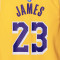 Nike Los Angeles Lakers Icon Edition LeBron James Preescolar Trikot