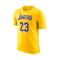 Nike Kids Los Angeles Lakers Icon Edition LeBron James Jersey