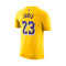 Nike Kids Los Angeles Lakers Icon Edition LeBron James Jersey