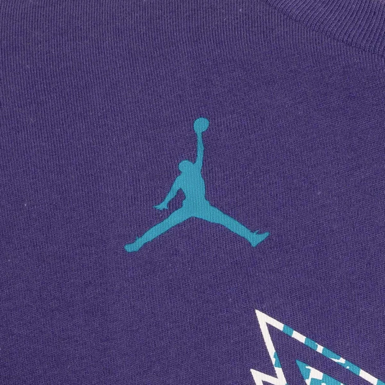 camiseta-jordan-charlotte-hornets-nino-new-orchid-4