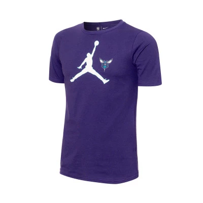 Camiseta Charlotte Hornets Jumpman Logo Niño