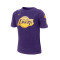 Jersey Nike Los Angeles Lakers 2023-2024 Niño