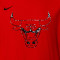 Jersey Nike Chicago Bulls Preescolar