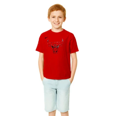 Camiseta Chicago Bulls Preescolar