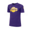 Nike Kids Los Angeles Lakers 2023-2024 Jersey