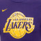 Nike Los Angeles Lakers 2023-2024 Niño Trikot