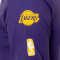 Nike Kids Los Angeles Lakers 2023-2024 Jersey