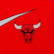 Nike Chicago Bulls Essential Swoosh Niño Trikot