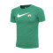 Maillot Nike Boston Celtics Essential Swoosh Niño