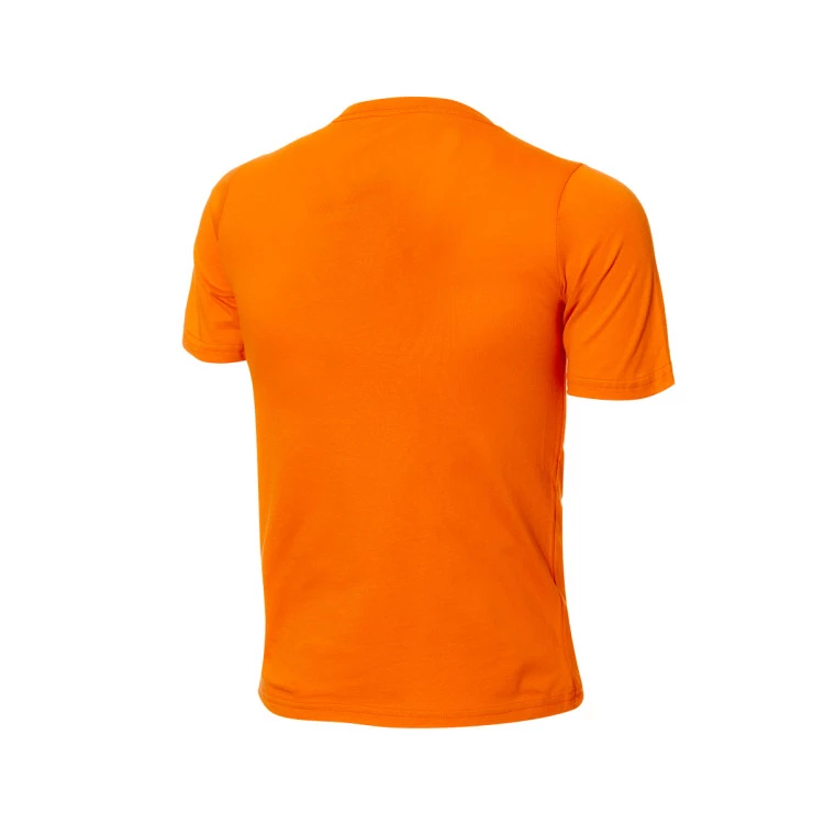 camiseta-jordan-essential-club-phoenix-suns-nino-orange-2