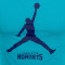 Jersey Jordan Essential Club Charlotte Hornets Niño