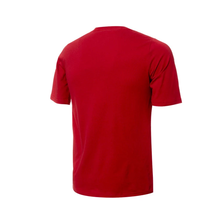 camiseta-jordan-essential-club-miami-heat-nino-tough-red-2