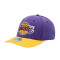 Gorra MITCHELL&NESS Los Angeles Lakers Team 2 Tone 2.0 Strech Snap