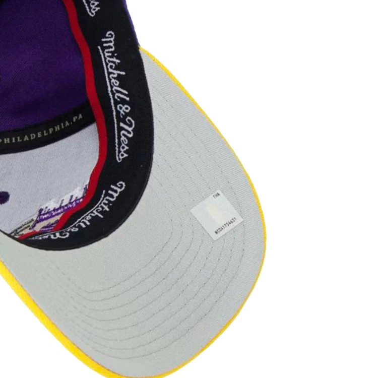 gorra-mitchellness-los-angeles-lakers-team-2-tone-2.0-strech-snap-purple-yellow-3