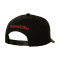 MITCHELL&NESS Chicago Bulls The Best Pro Cap