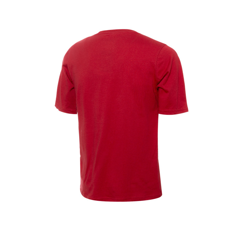 camiseta-nike-miami-heat-essential-block-nino-red-2