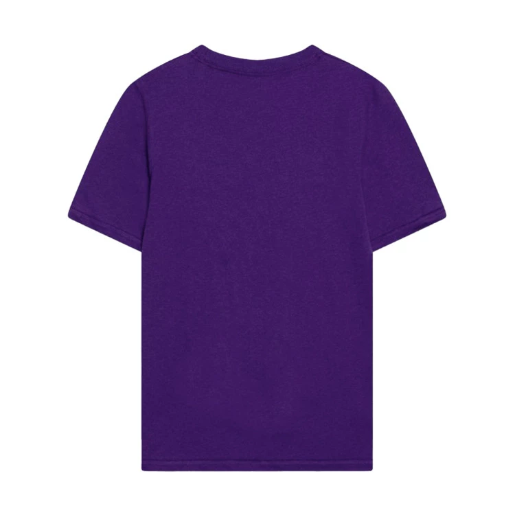 camiseta-nike-los-angeles-lakers-essential-block-nino-purple-yellow-1